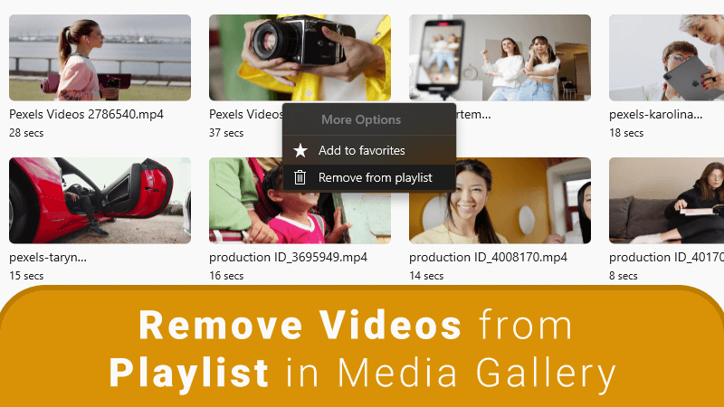 remove videos from playlist in media gallery